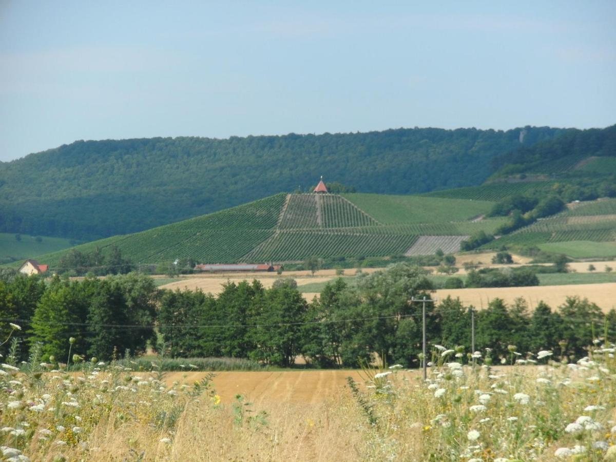 Pension zur Traube 3 Sterne Oberschwarzach Exterior foto