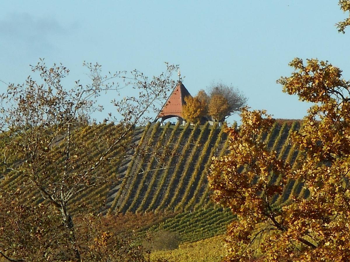 Pension zur Traube 3 Sterne Oberschwarzach Exterior foto